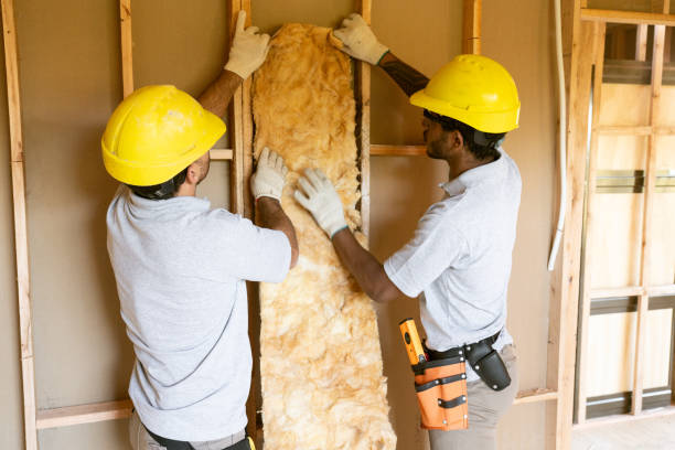 Best Fiberglass Insulation  in Chaparral, NM
