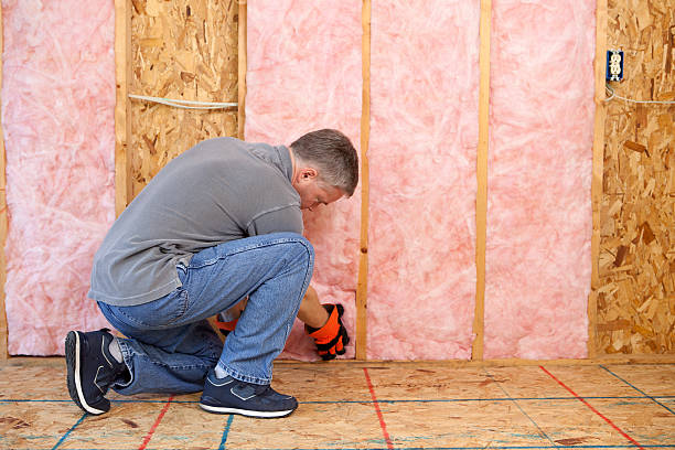 Best Energy-efficient Insulation  in Chaparral, NM